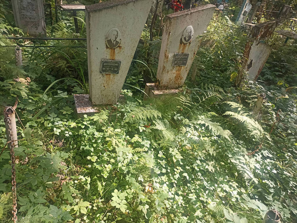 Шулындин Василий Иванович