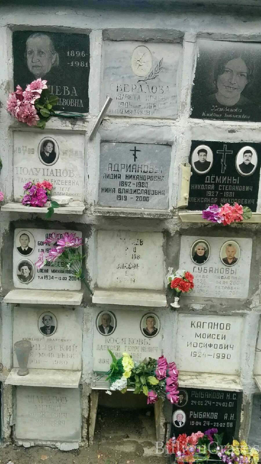 Авдеева Елена Михайловна