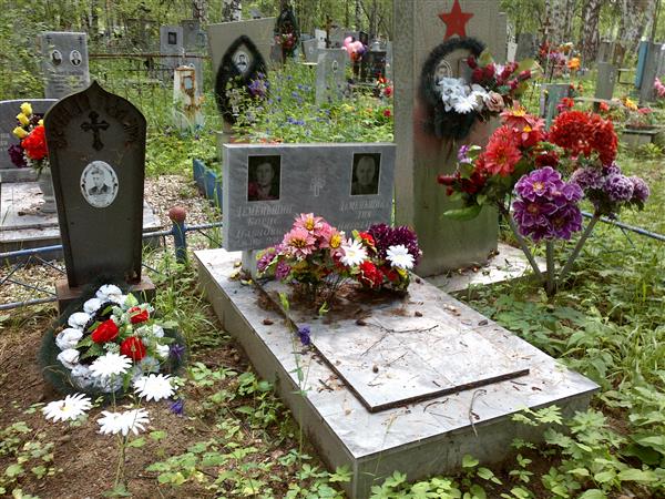 Деменьшин Николай Павлович
