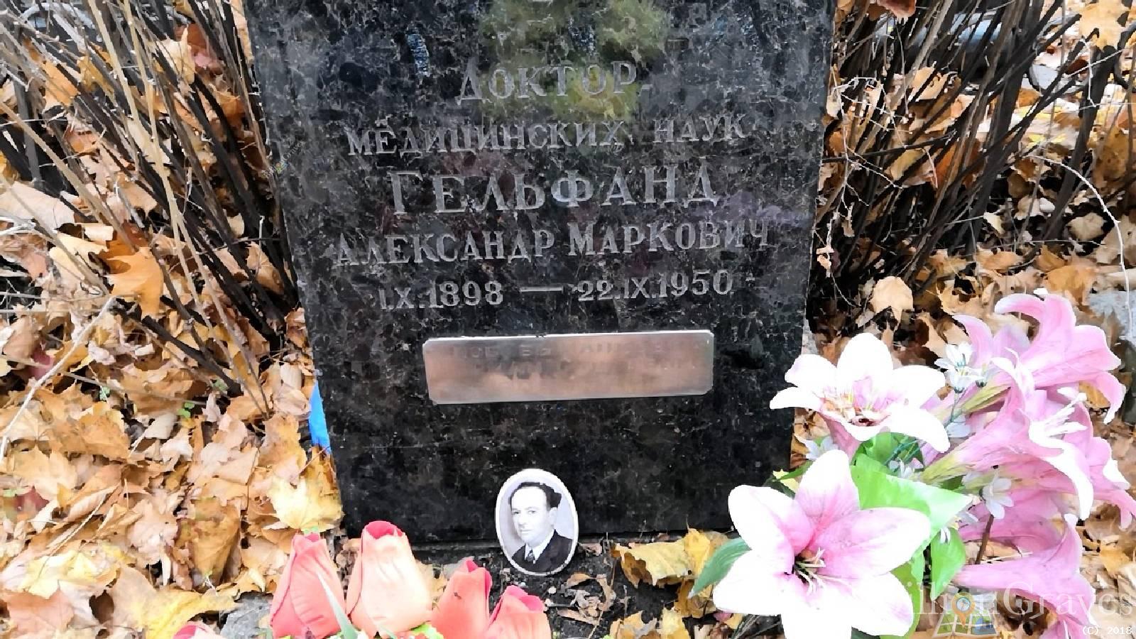 гельфанд александр маркович