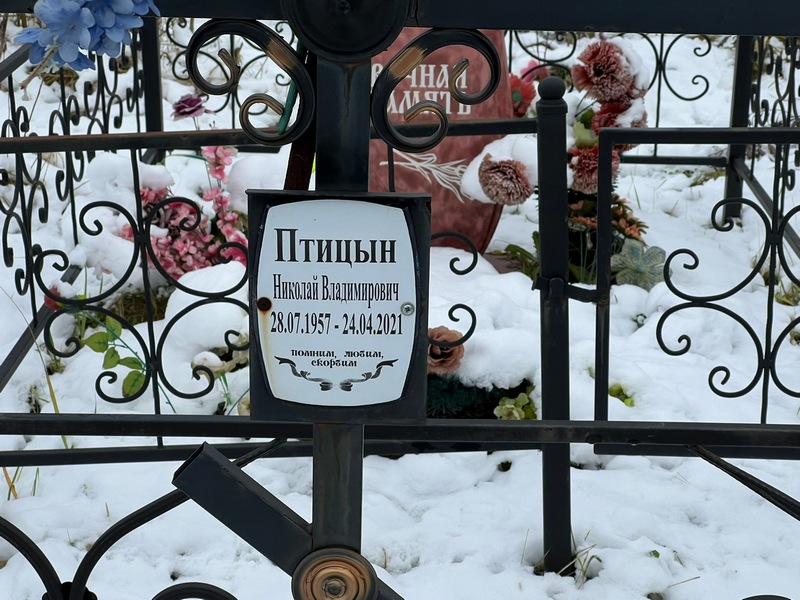 Птицын