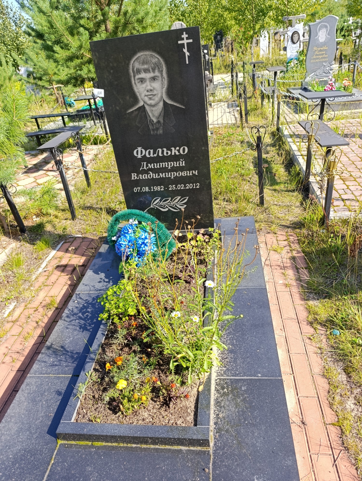 Фалько Дмитрий Владимирович