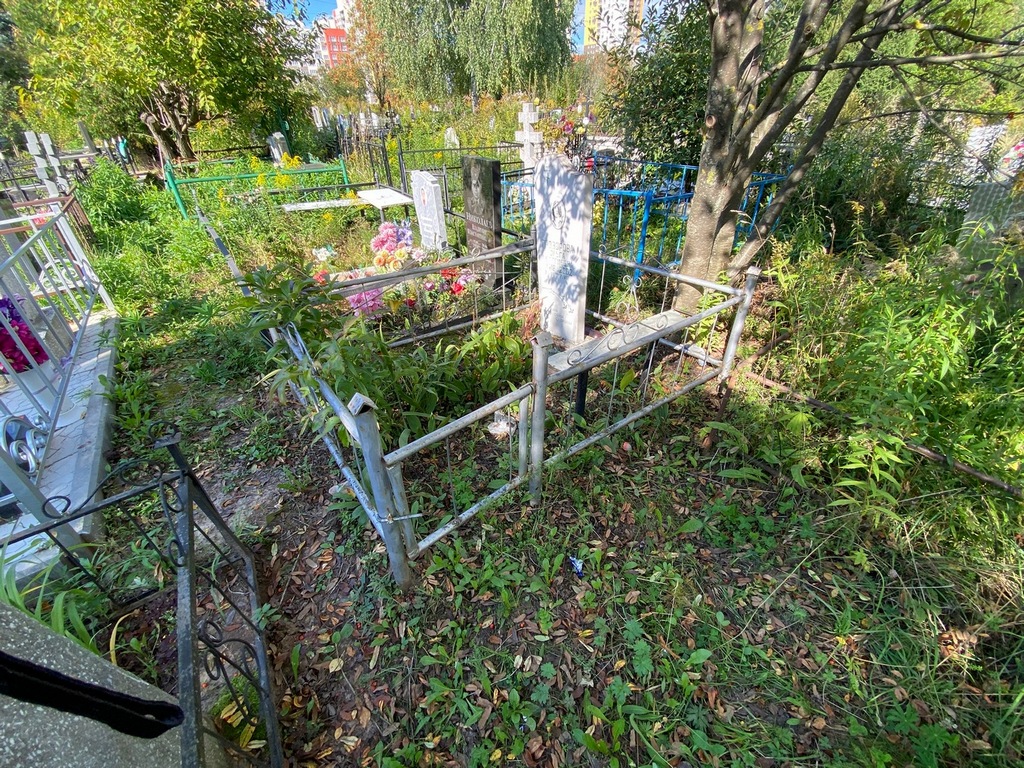 Прозорова Ольга Георгиевна