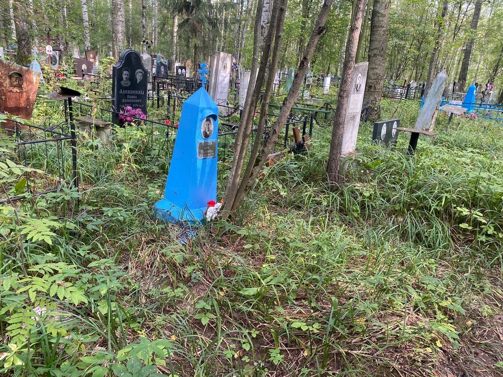 Тореева Вера Ивановна