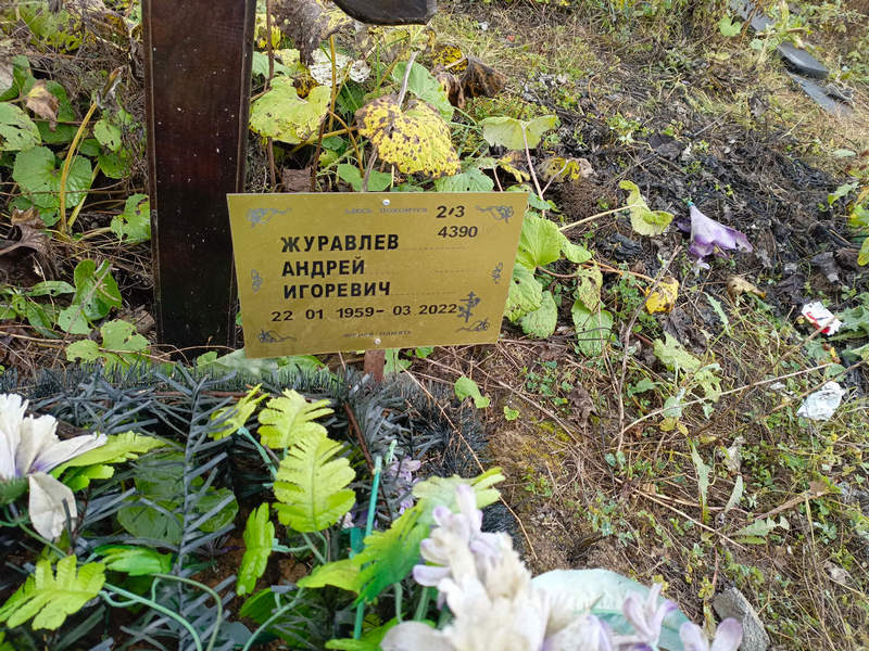 Журавлев