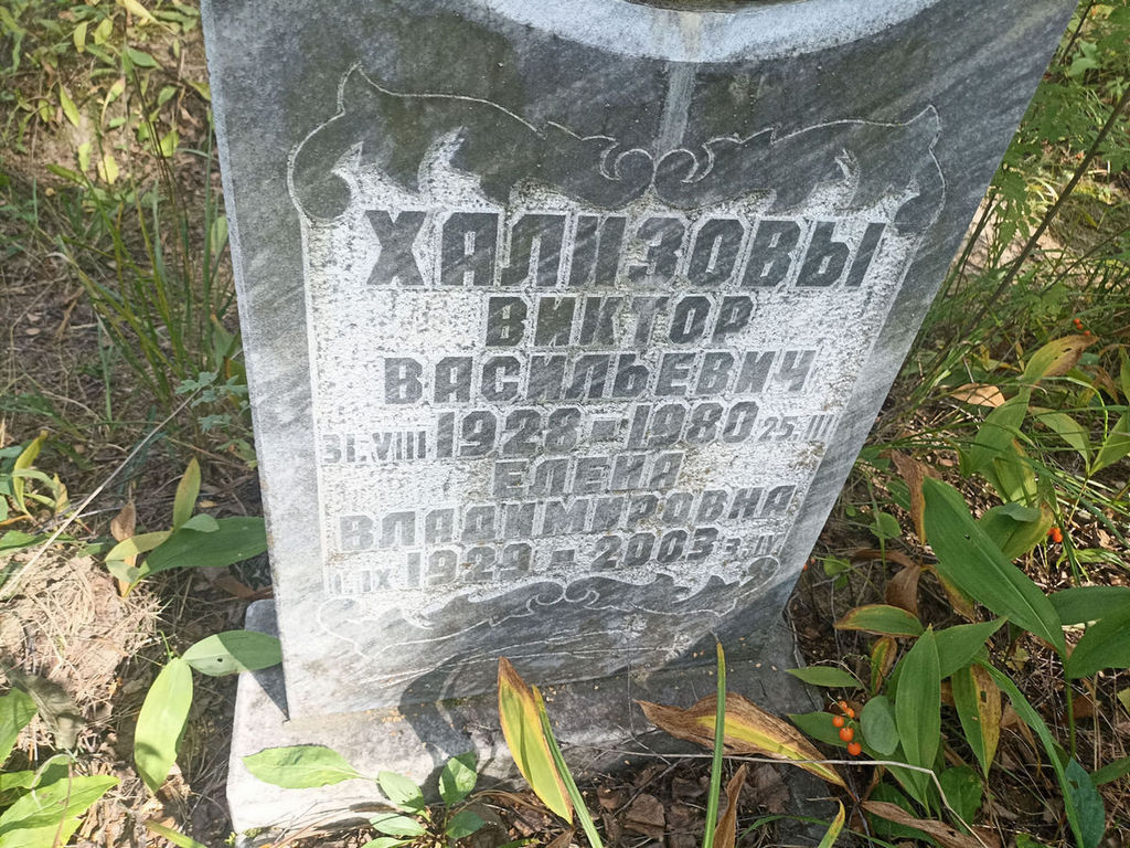 Хализова Елена Владимировна