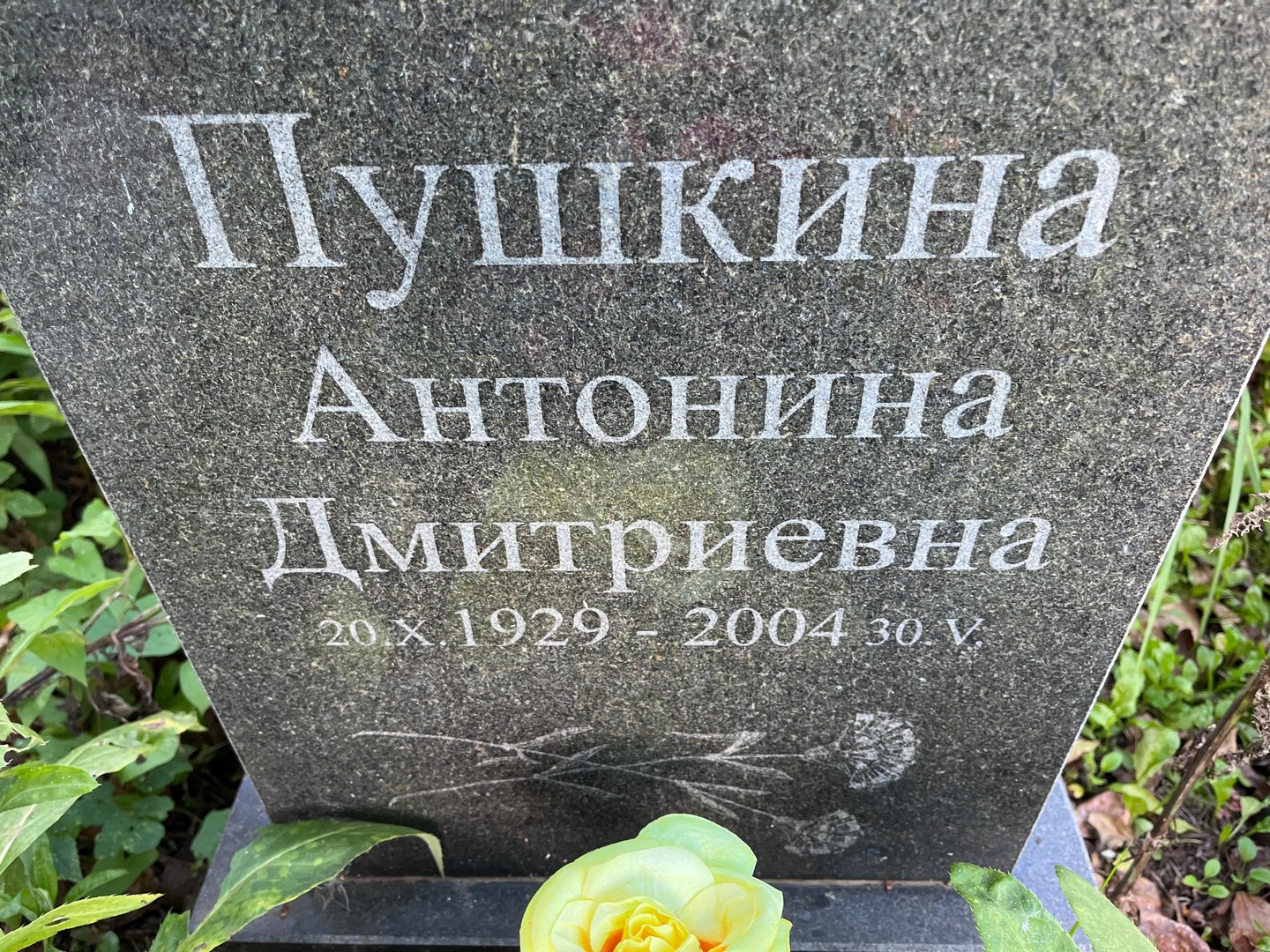 Пушкина Антонина Дмитриевна
