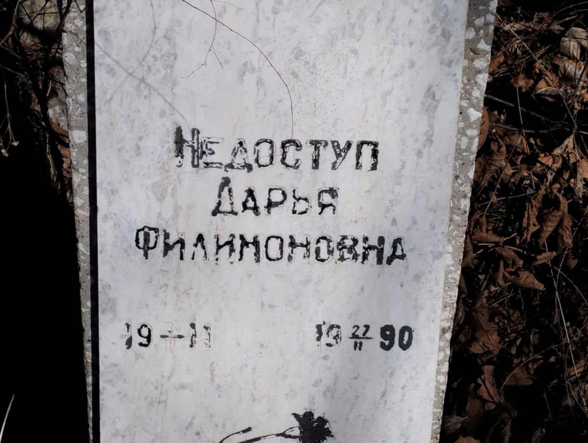 Недоступ Дарья Филимоновна
