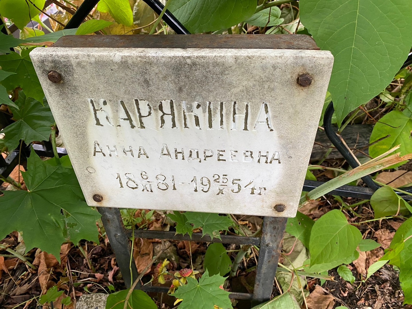 Карякина