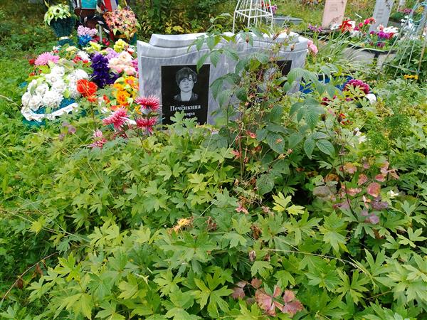 Печенкин Владимир Алексеевич