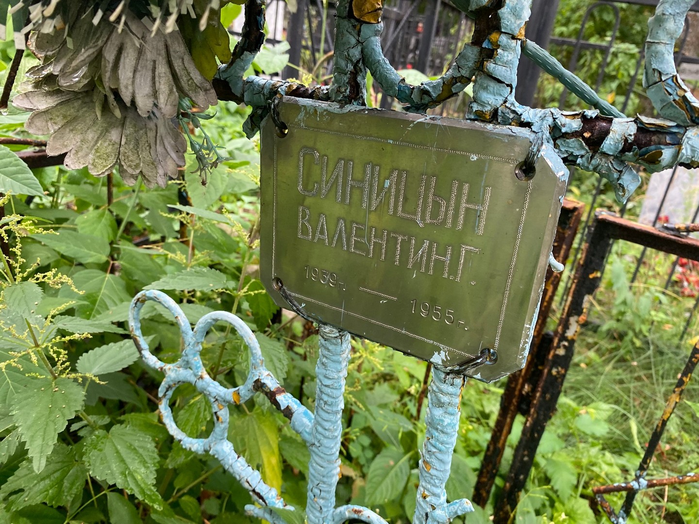 Синицын Синицын