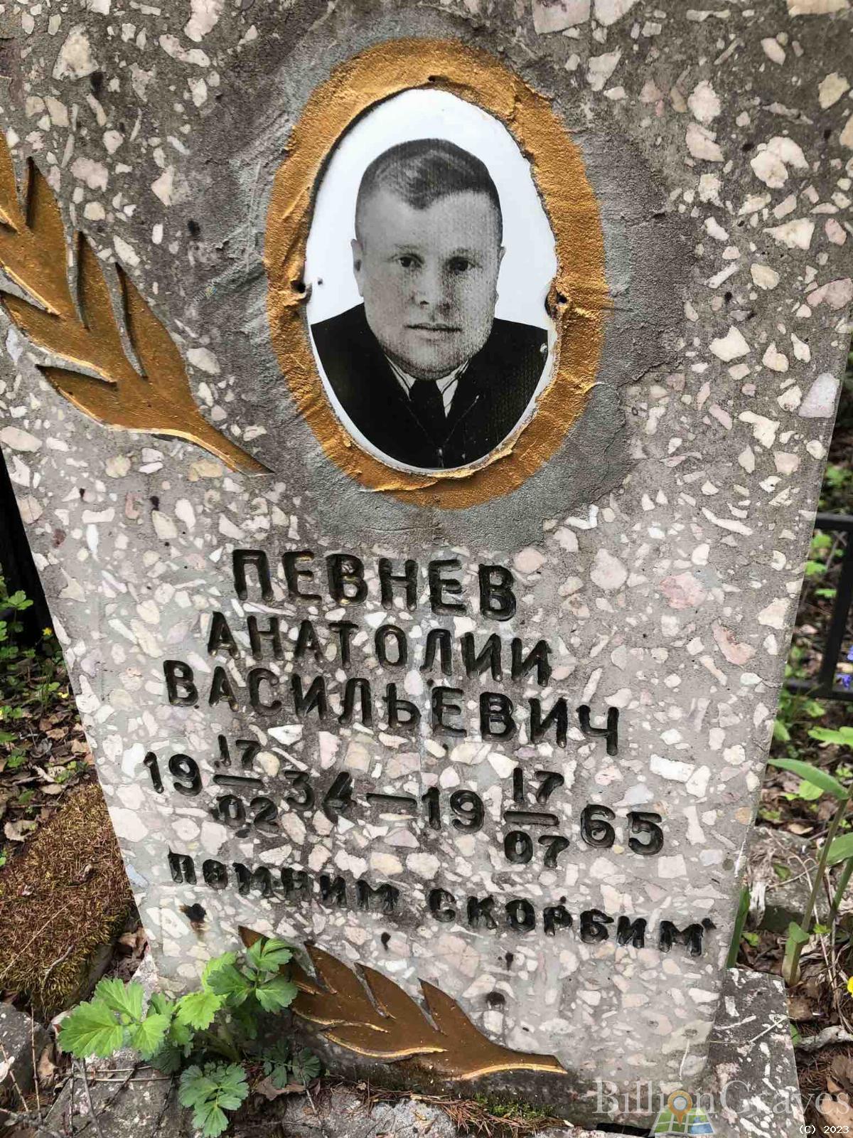 Певнев Анатолий Васильевич