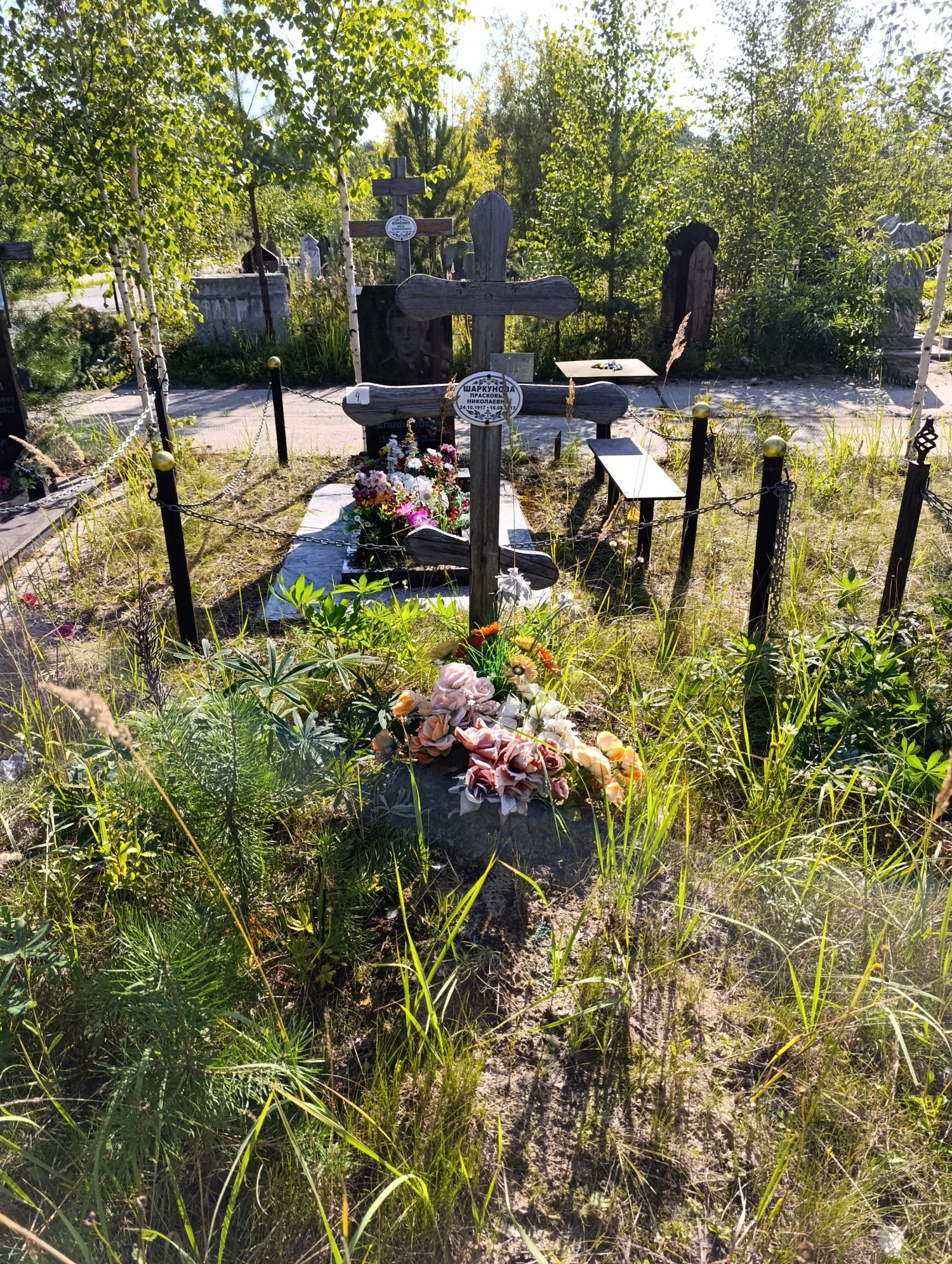 Шаркунова Прасковья Николаевна