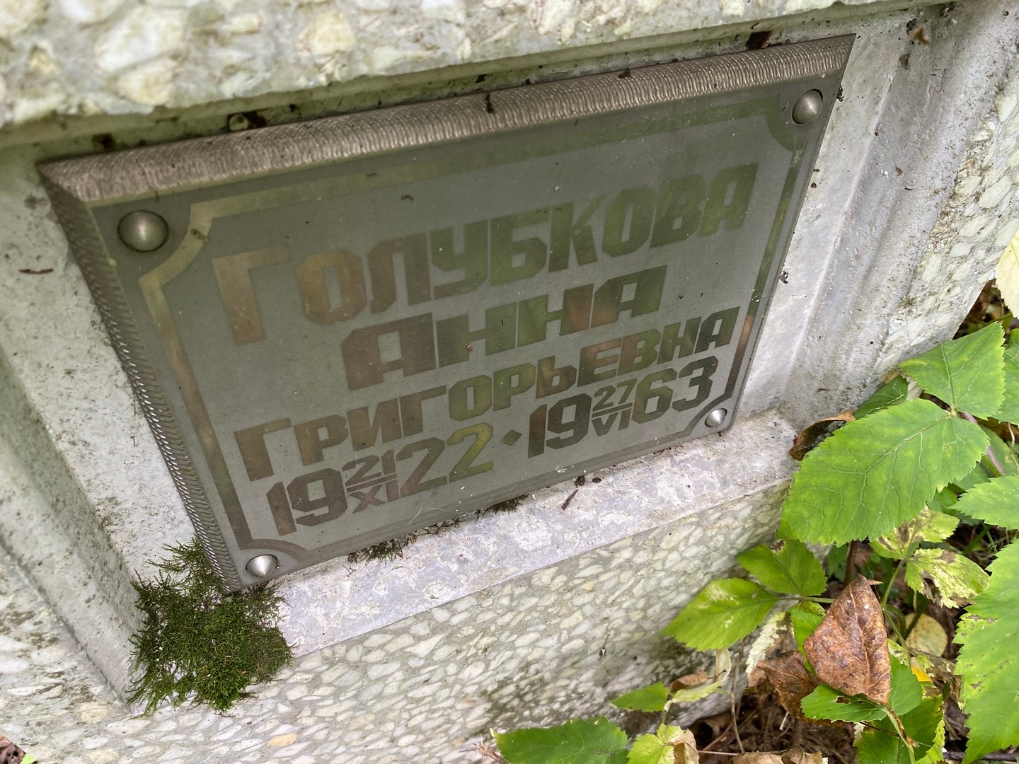 Голубкова