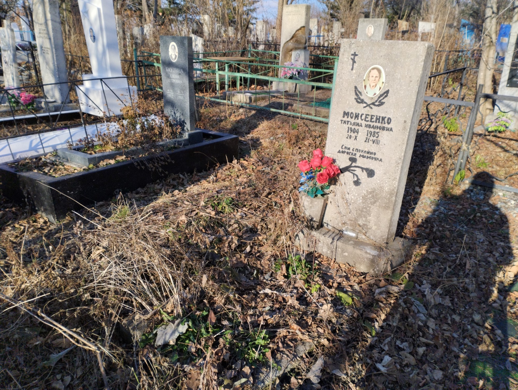 Моисеенко Татьяна Ивановна