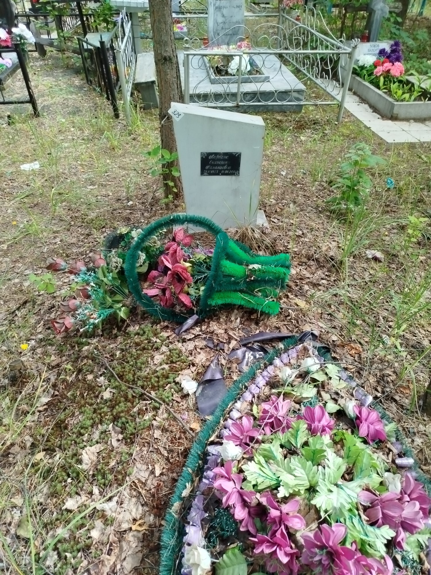 Ларкина Екатерина Николаевна