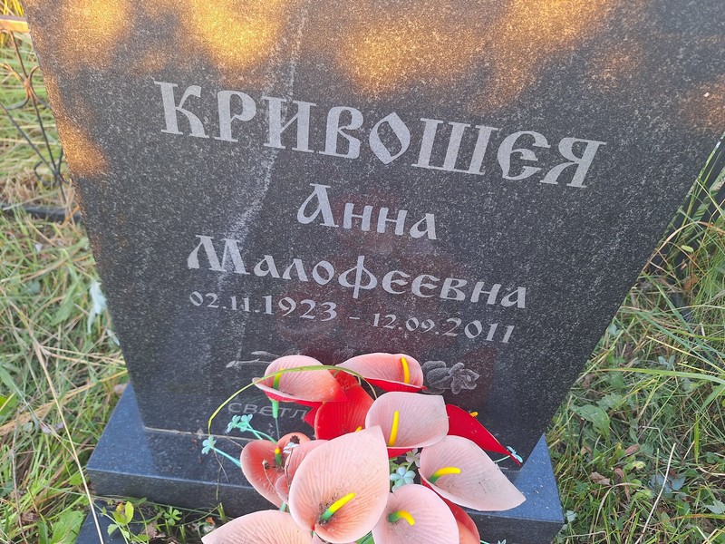 Кривошея