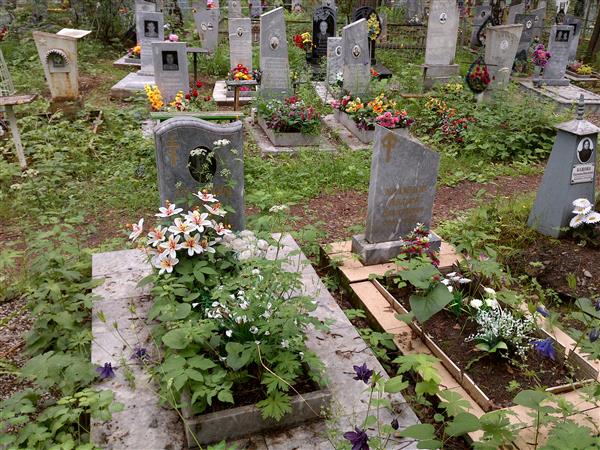Храмцова Галина Николаевна