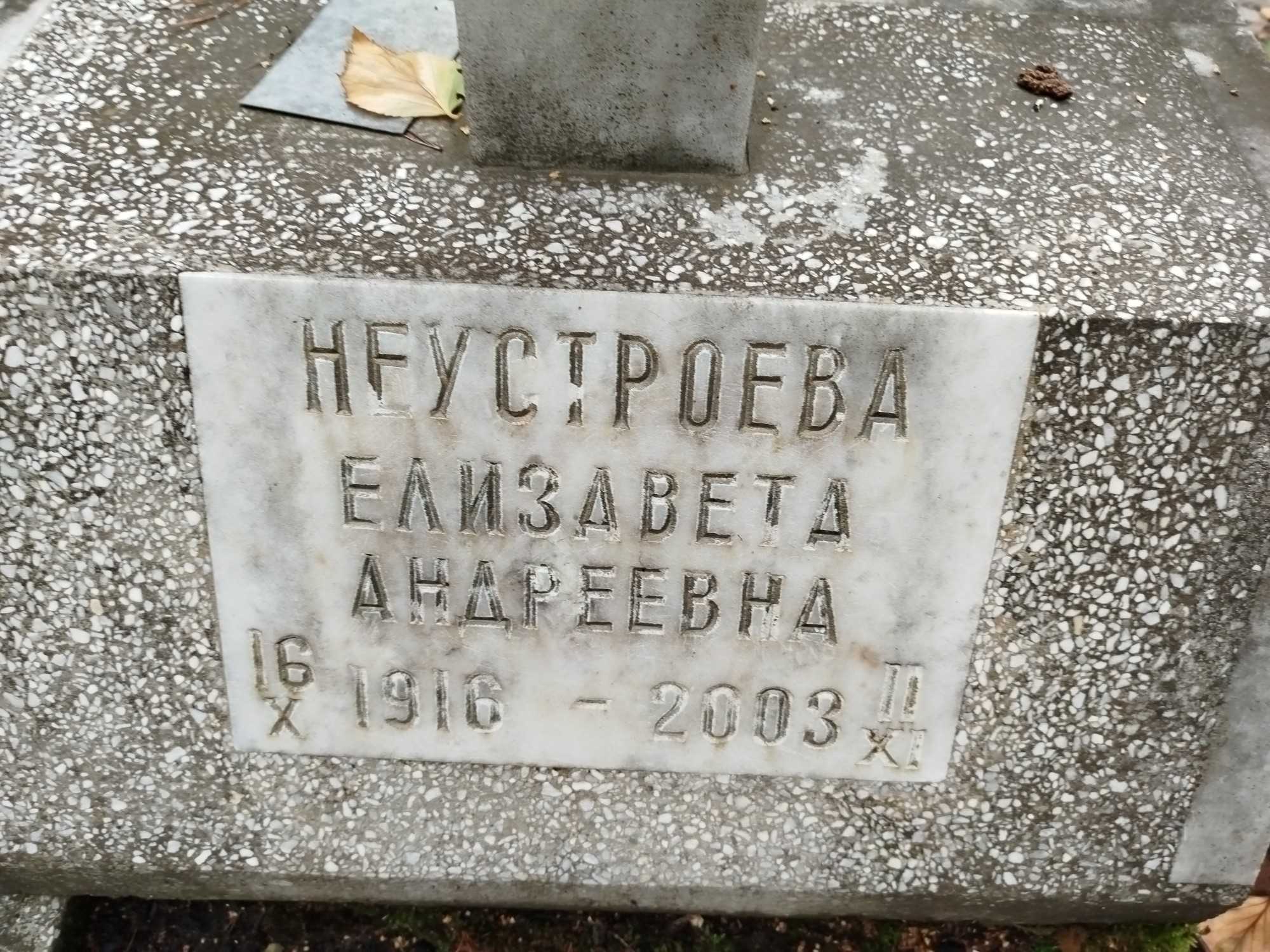 Неустроева Елизавета Андреевна