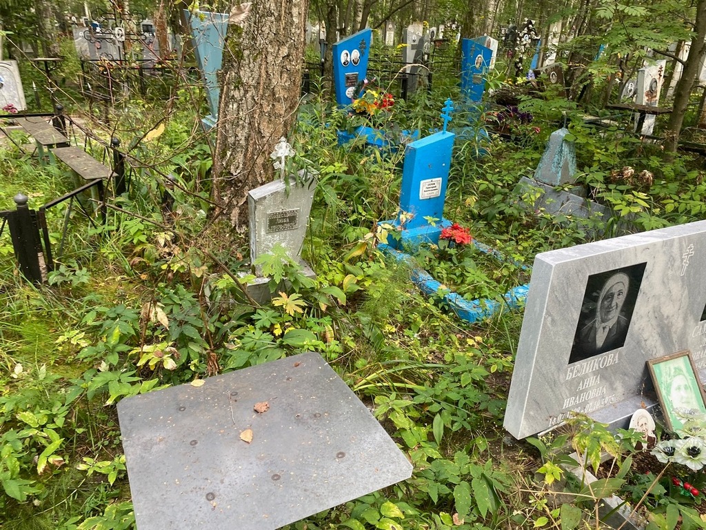Колесавина Любовь