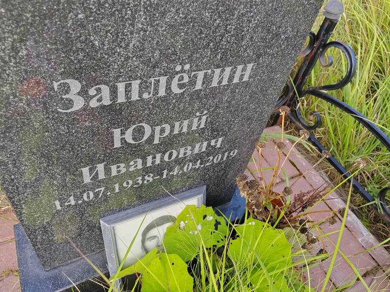 Заплетин