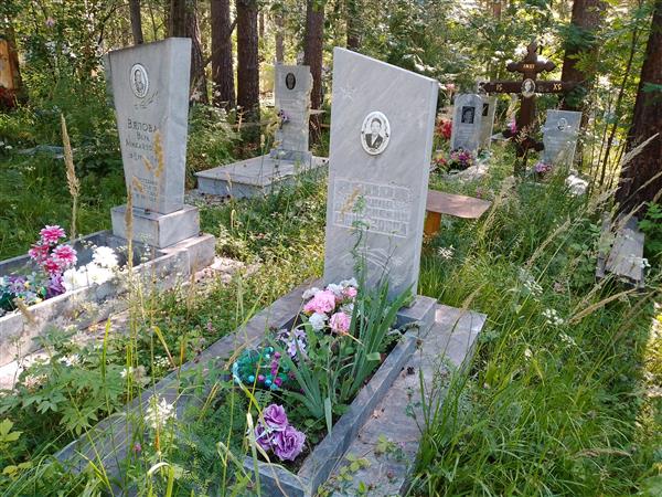 Вялов Кронид Дмитриевич