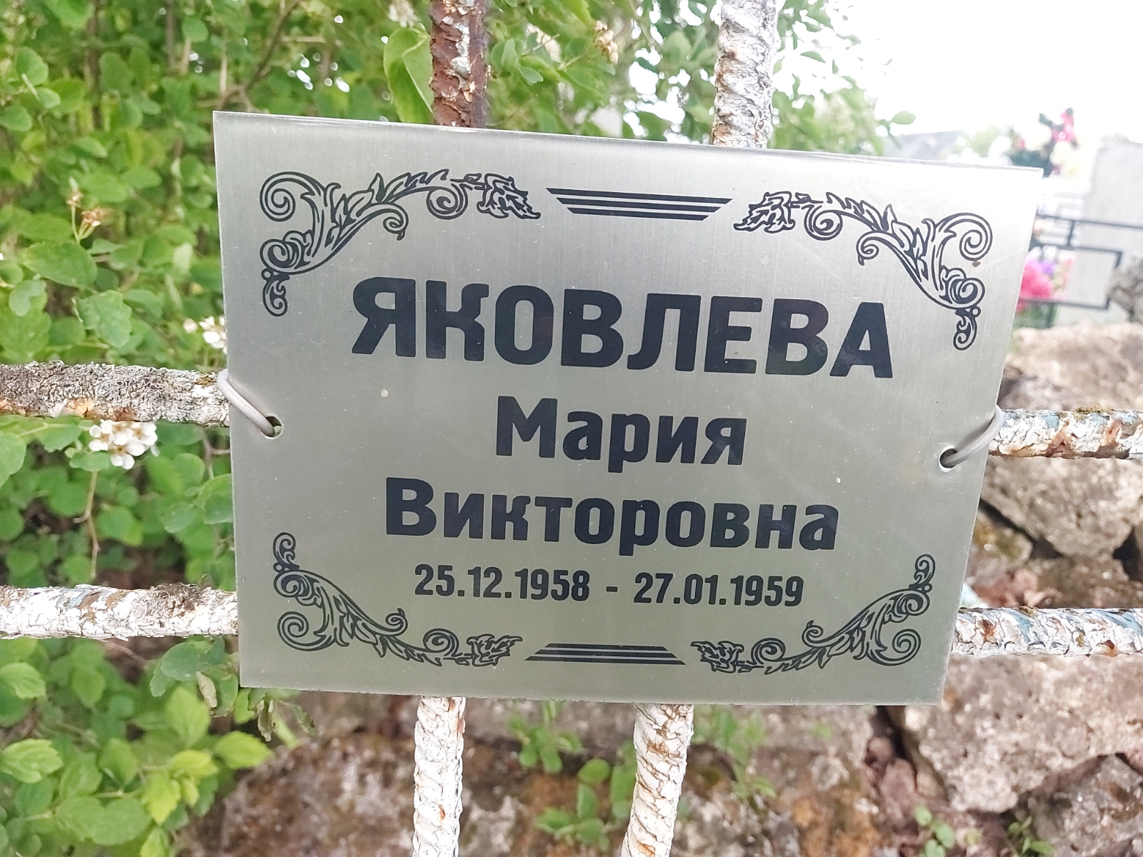 Яковлева Мария Викторовна