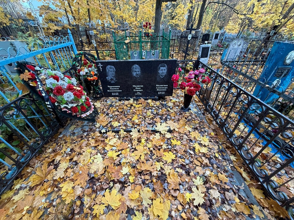 Малюгина Александра Ивановна