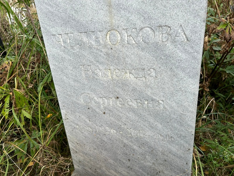 Челнокова