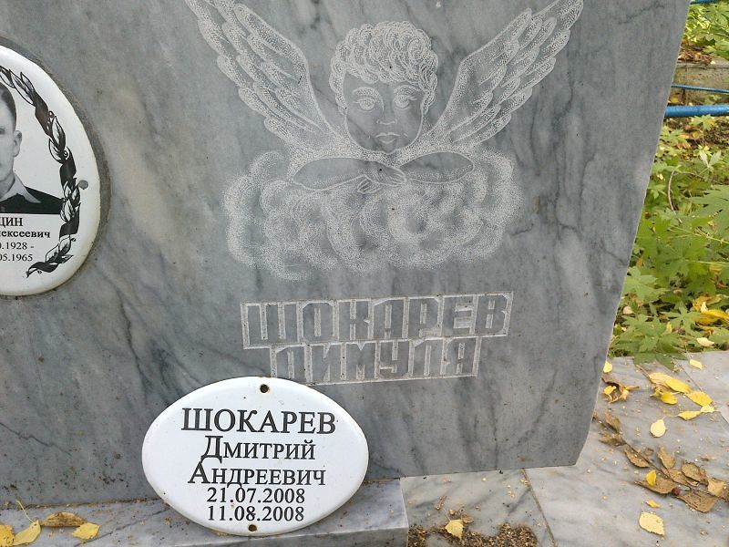 Шокарев