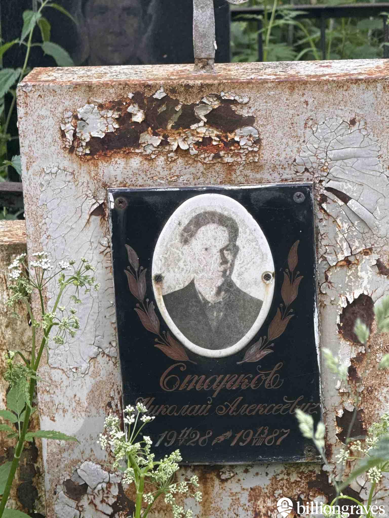 Старков Николай Алексеевич