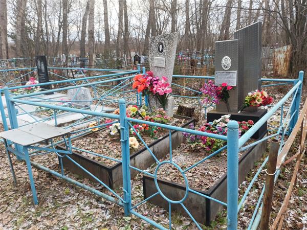 Бердышева Елена Дмитриевна