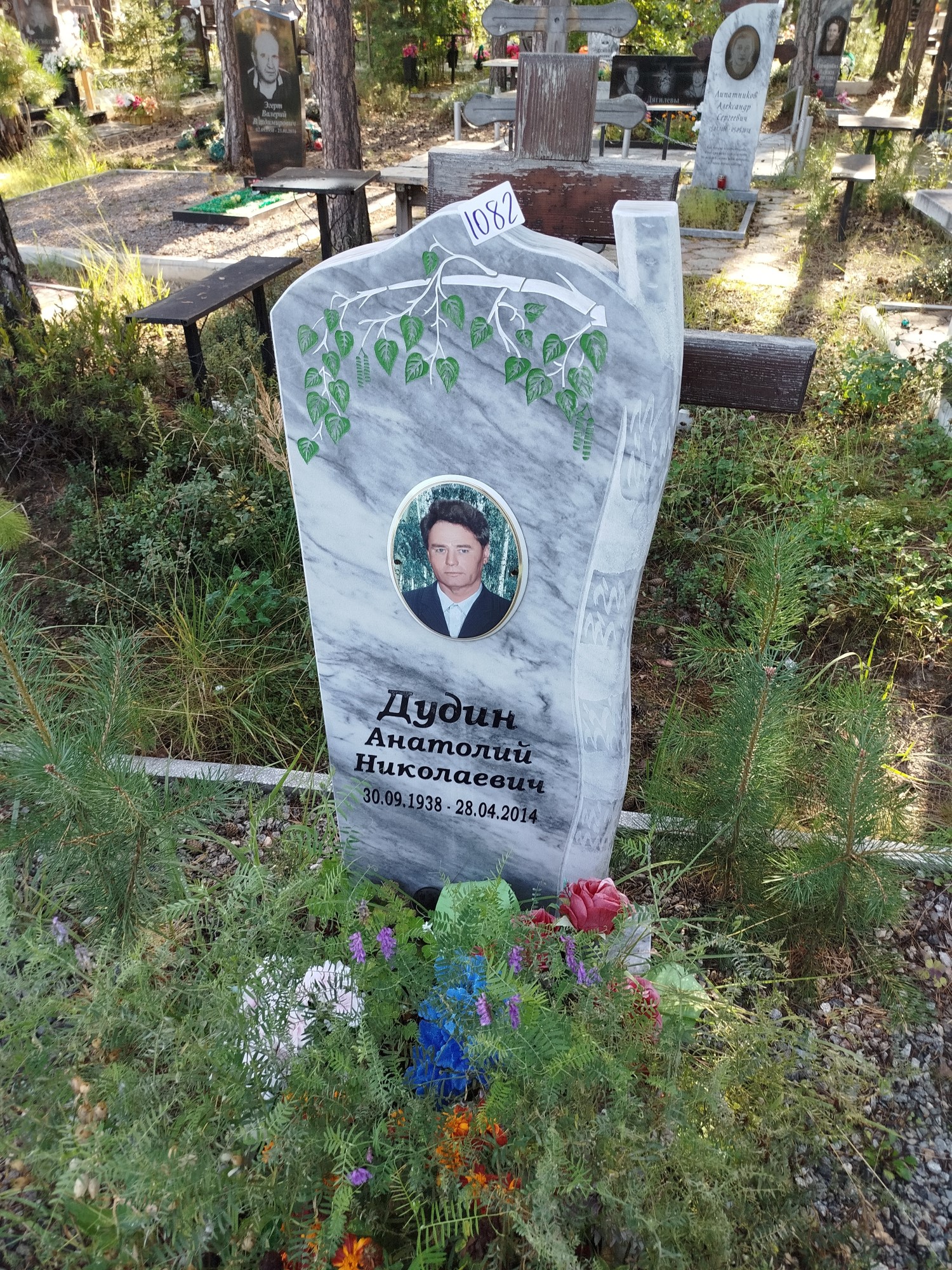 Дудин Анатолий Николаевич