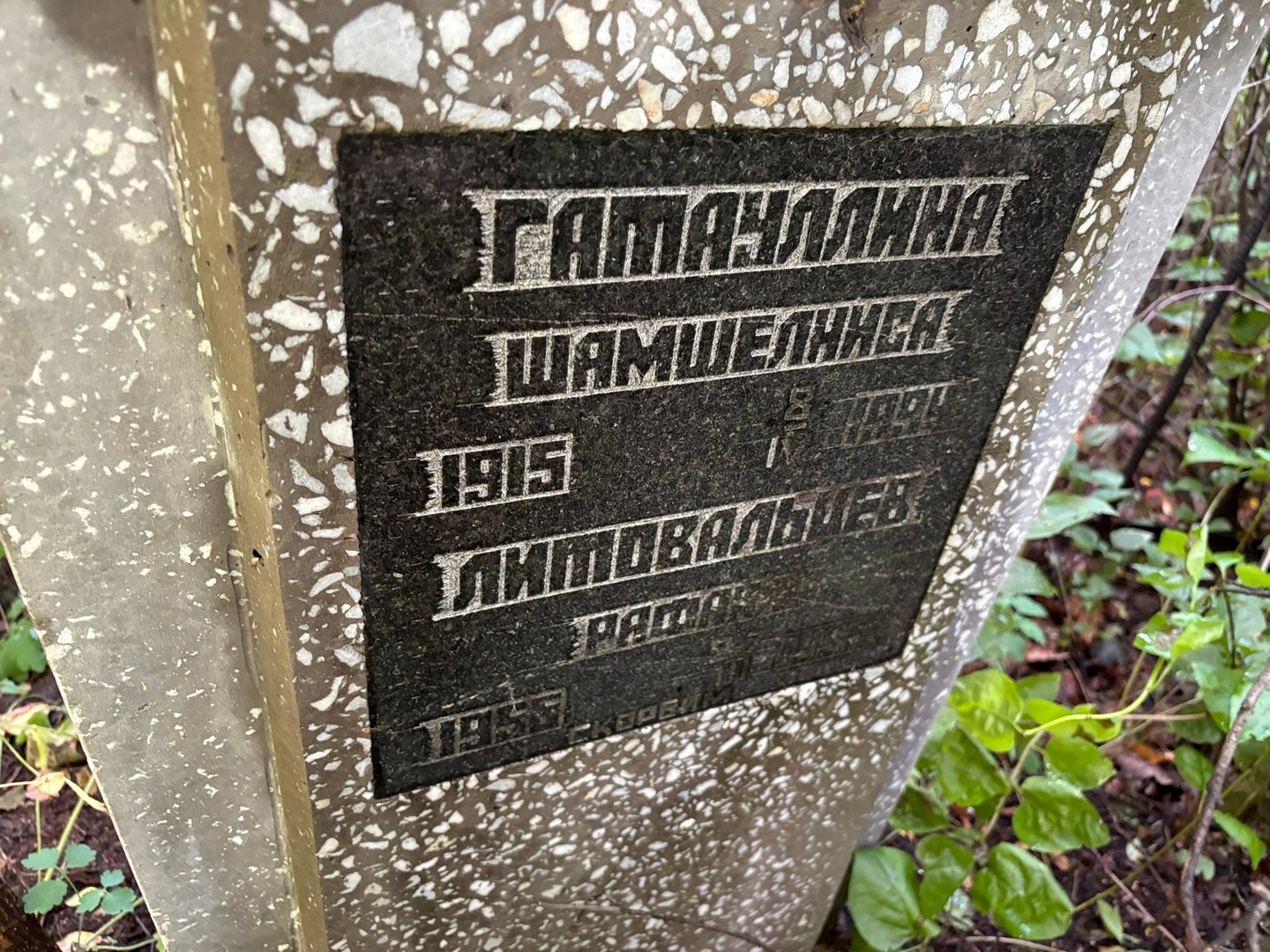 Шамшелниса Гатауллина