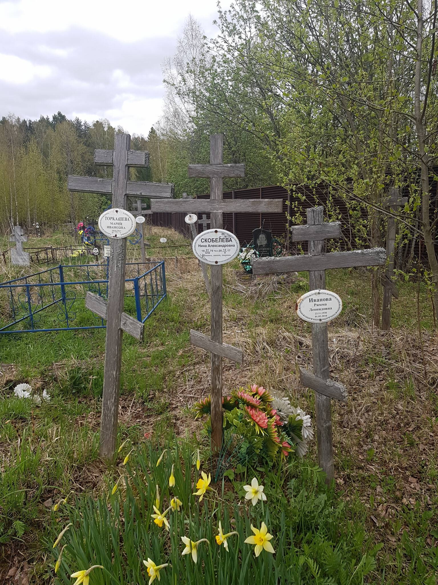 Скобелева Нина Александровна