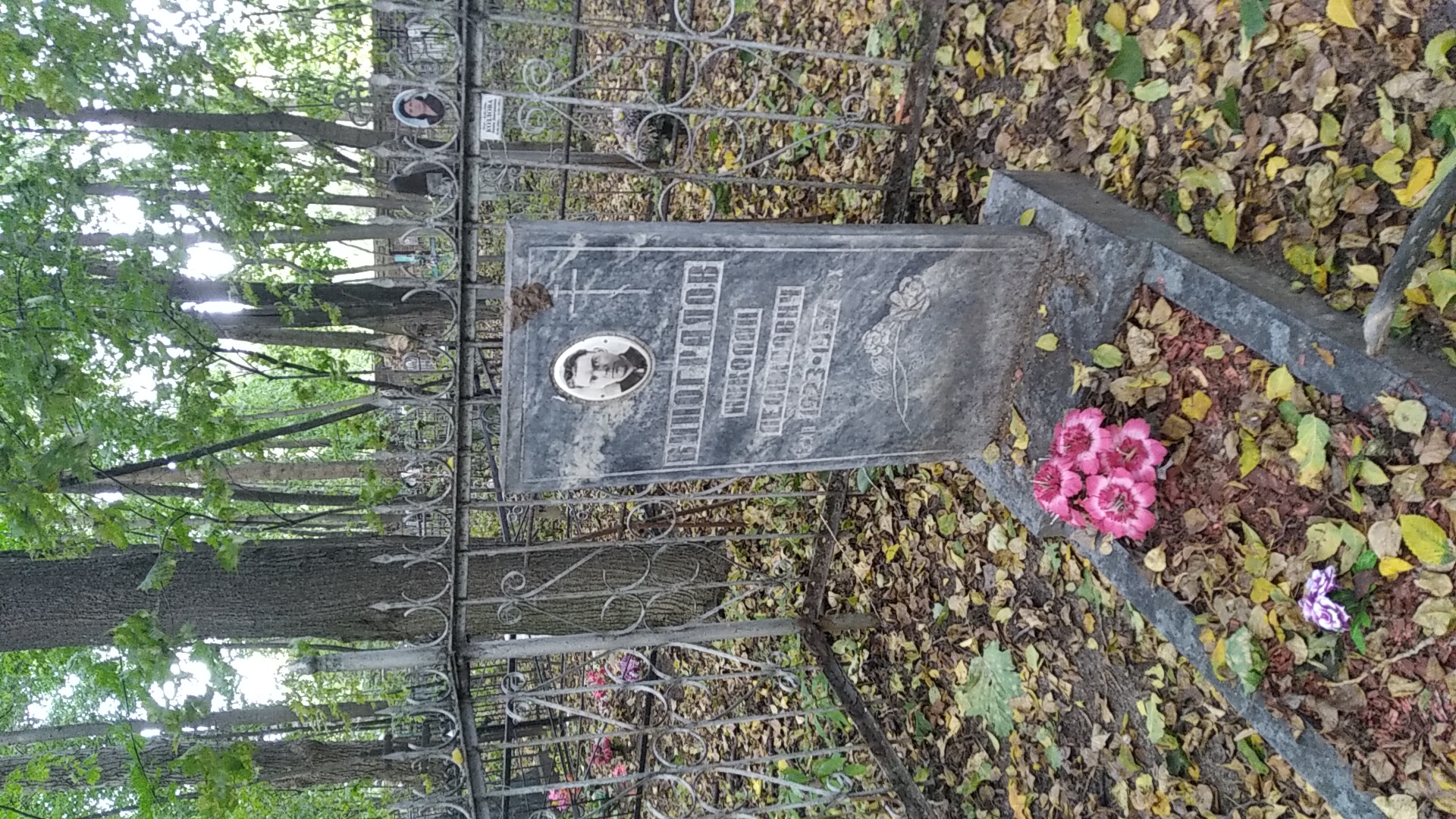 Виноградов Николай Леонидович