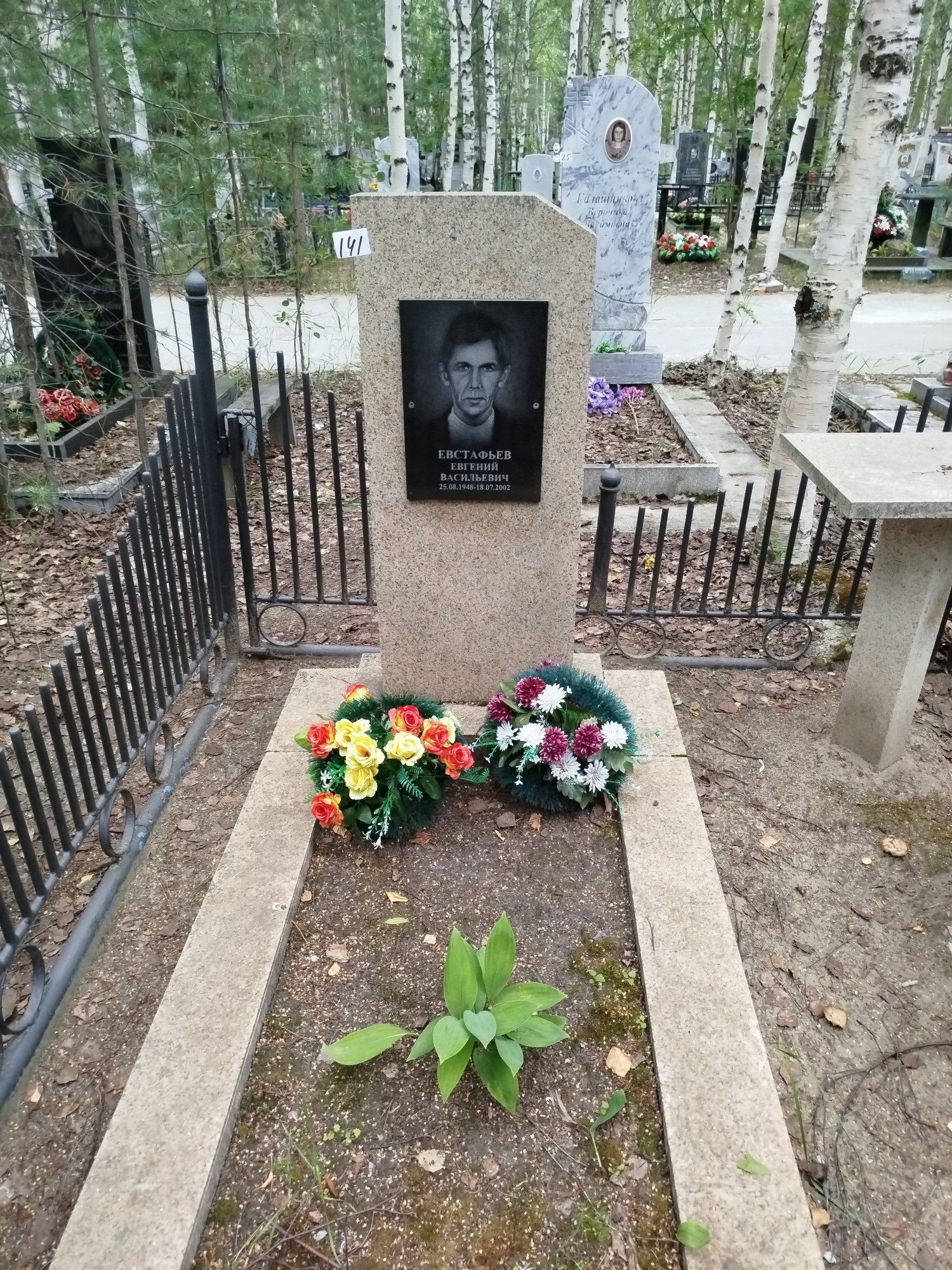 Евстафьев Евгений Васильевич