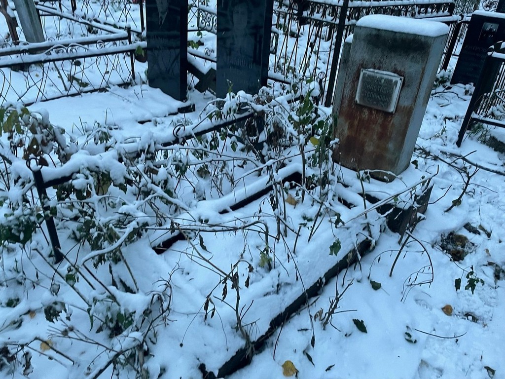 Борисова Анастасия Степановна
