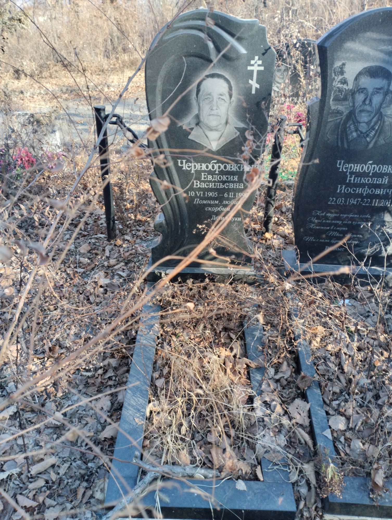Чернобровкина Евдокия Васильевна