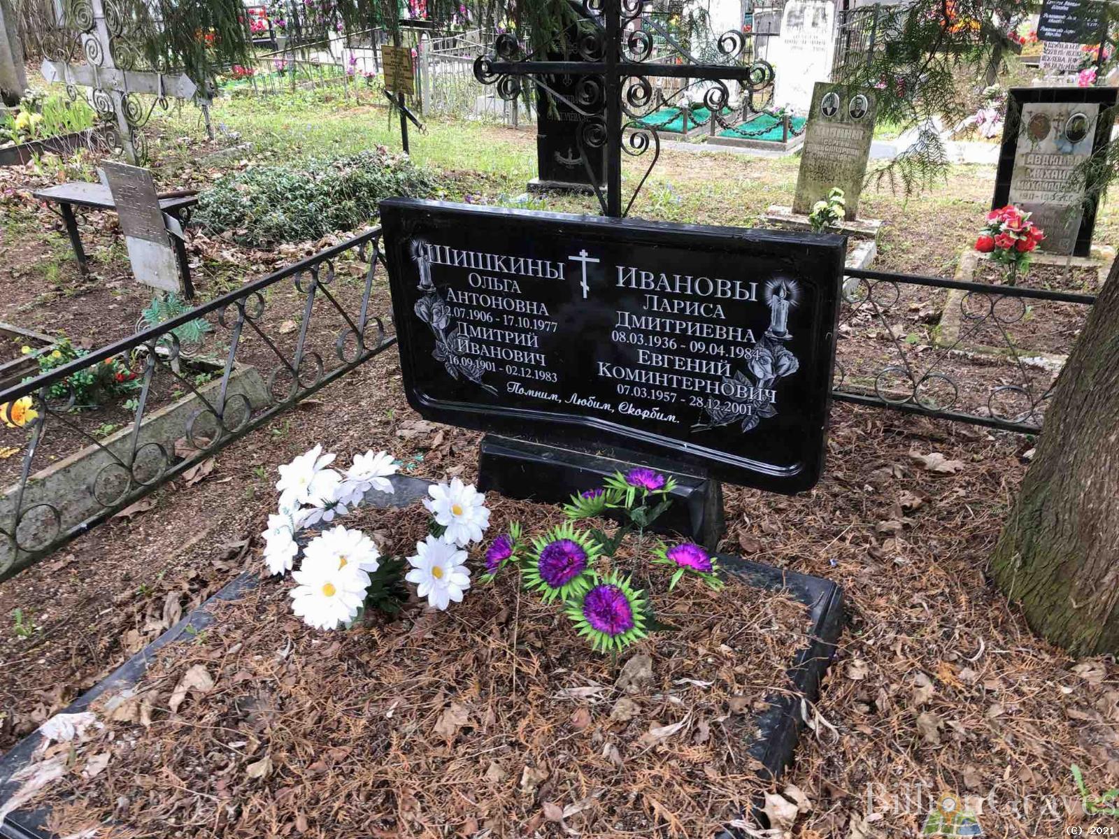 Шишкин Дмитрий Иванович