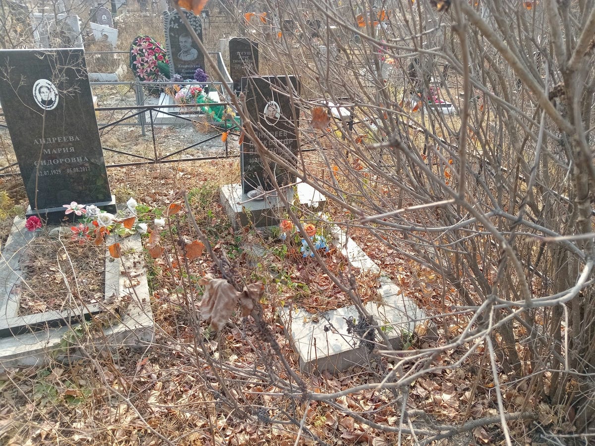 Андреев Александр Викулович