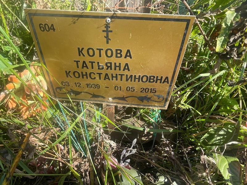 Котова
