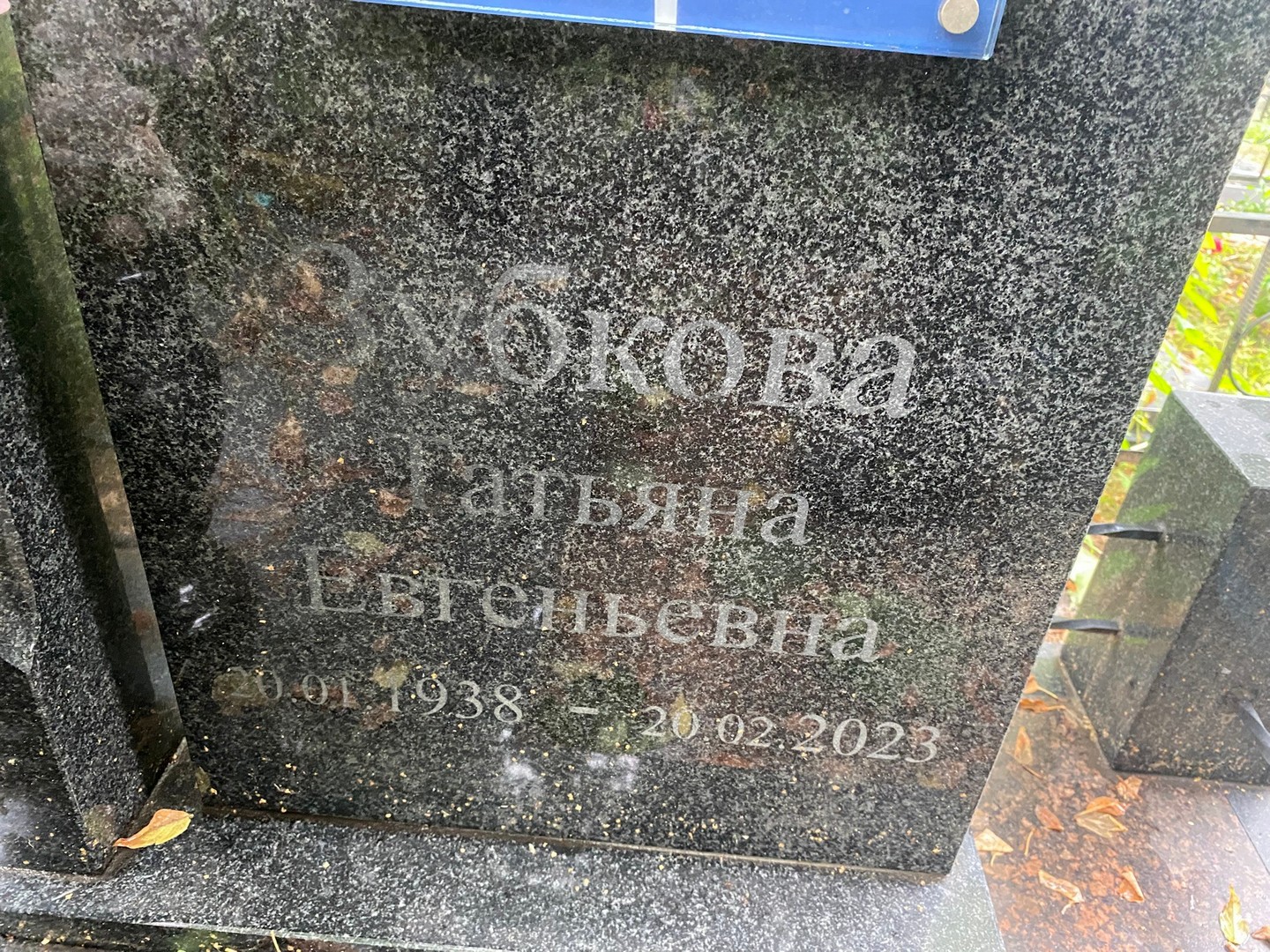 Зубкова