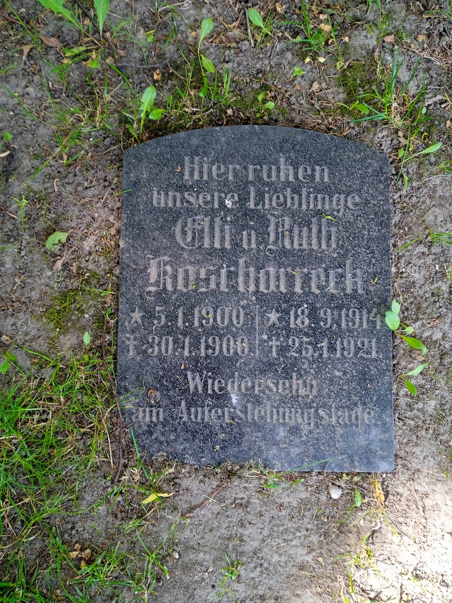 Roschorrech Elli