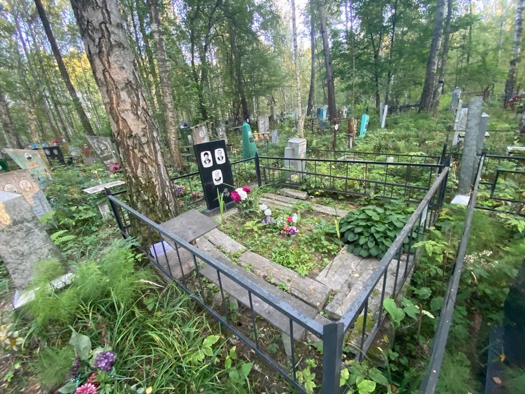 Сиренишева Альбина Ивановна