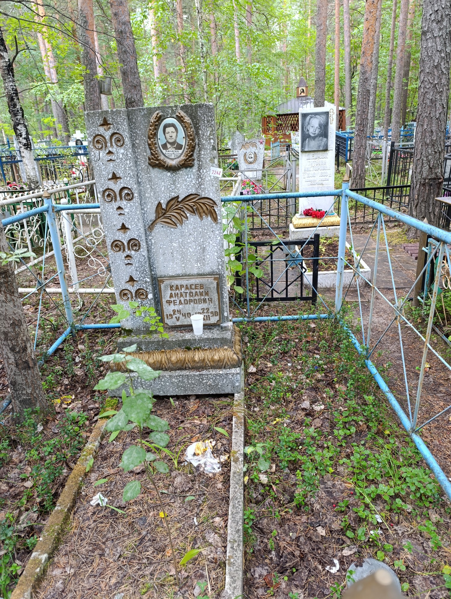 Карасев Анатолий Федорович