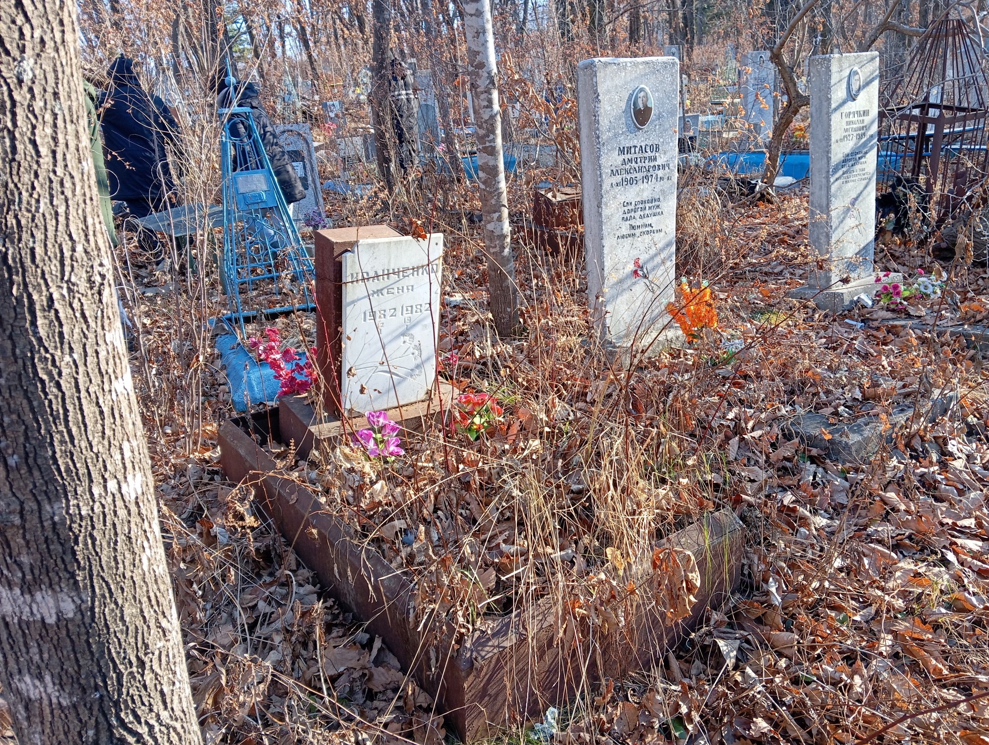 Иванченко Женя