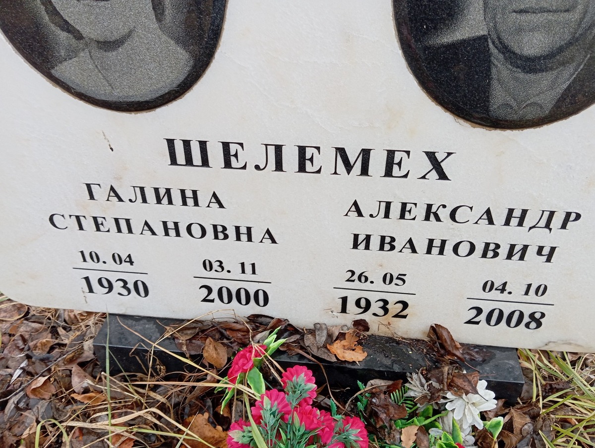 Шелемех Александр Иванович