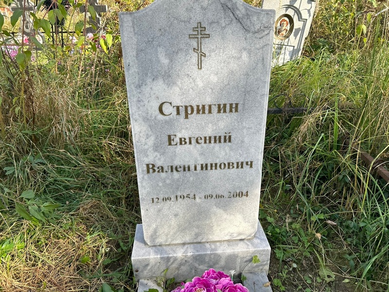 Стригин