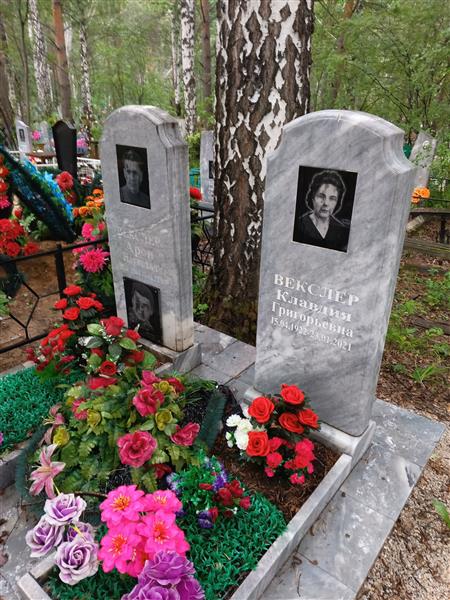 Векслер Арон Наумович